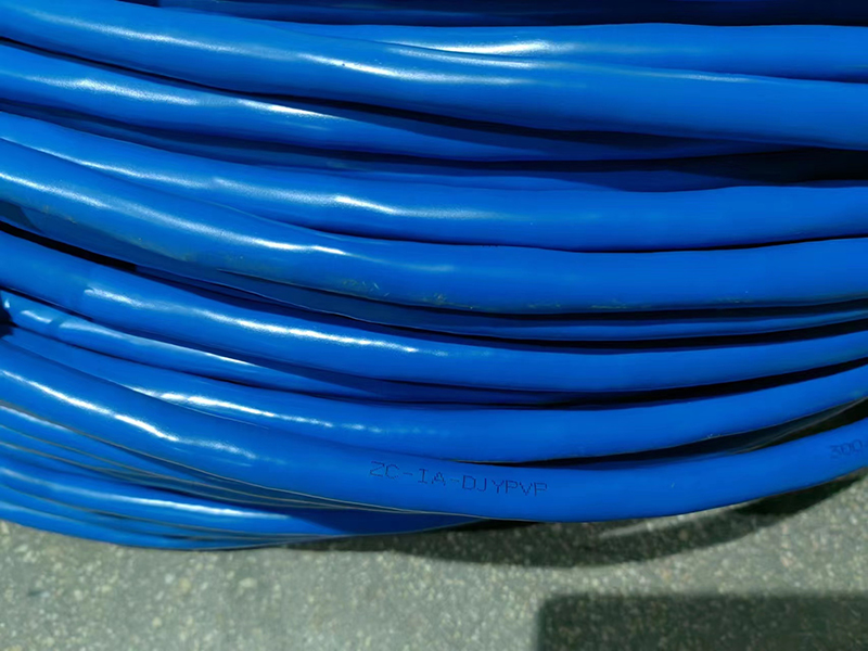 16952610995917.jpg 計算機(jī)電纜2.jpg